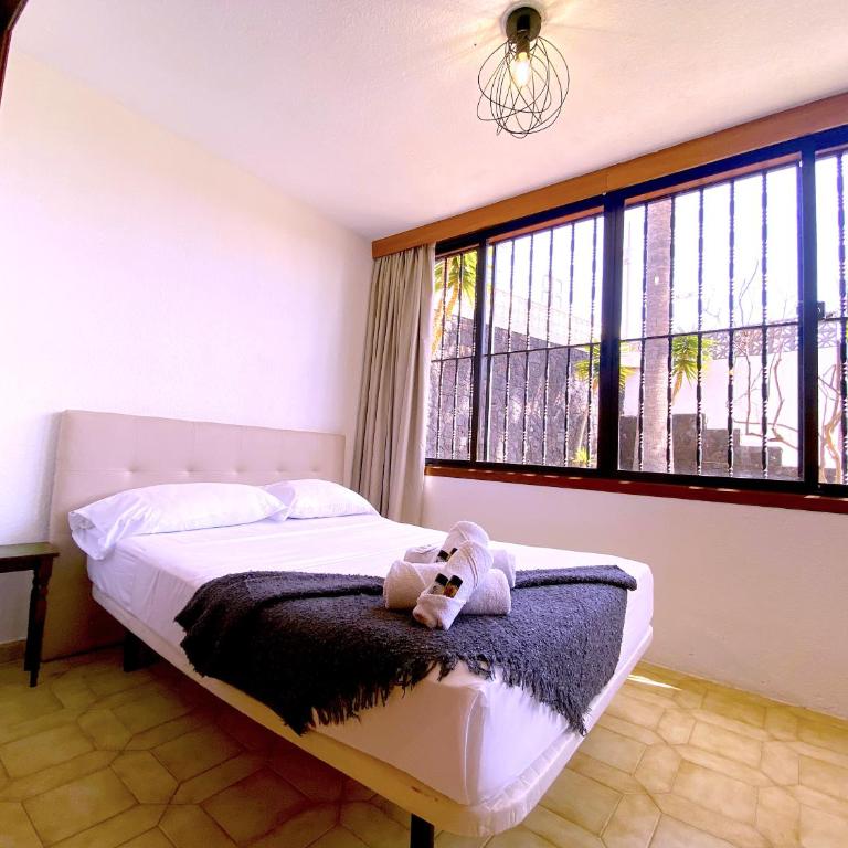 Tropicalidays Oasis del Sol - Apartamento de 2 dormitorios - 21