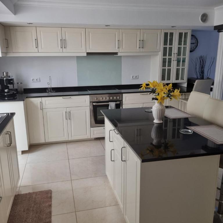 Spacious modern apartment in peacefull Las Coloradas, close to Papagayo Beaches - One-Bedroom Apartment - 9