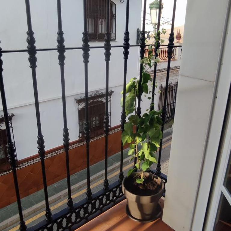Nerja Apartamento Centro - Apartamento de 2 dormitorios - 20