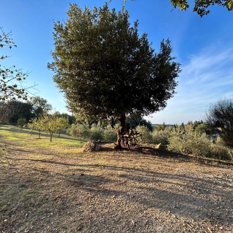 Casale di Valle Mora - Two-Bedroom Apartment - 21