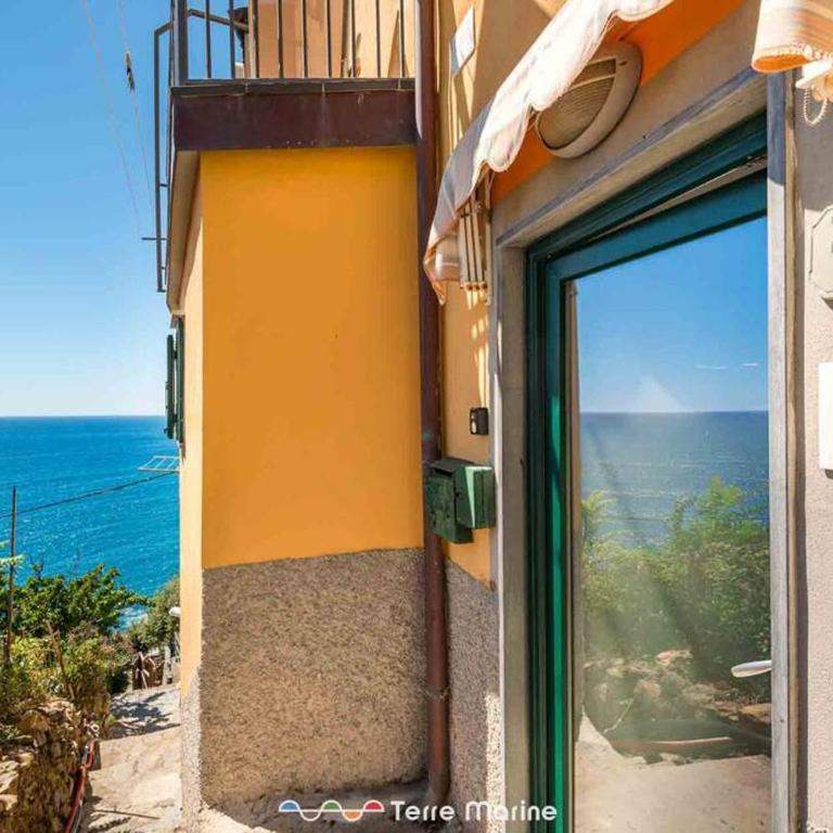 Sea View - Apartamento de 1 dormitorio - 14