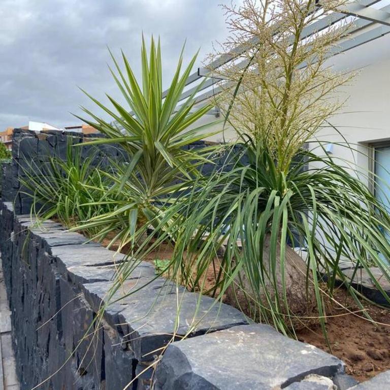Amazing Luxury Seafront Villa near Golf & Ocean - Villa de 2 dormitorios - 10