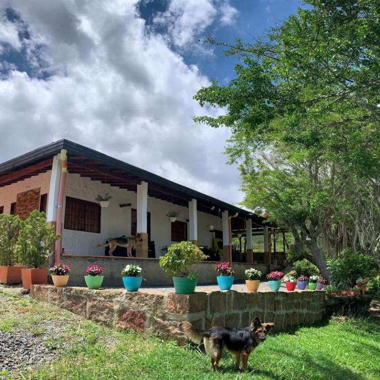 Villa tolu - Casa de 3 dormitorios - 3