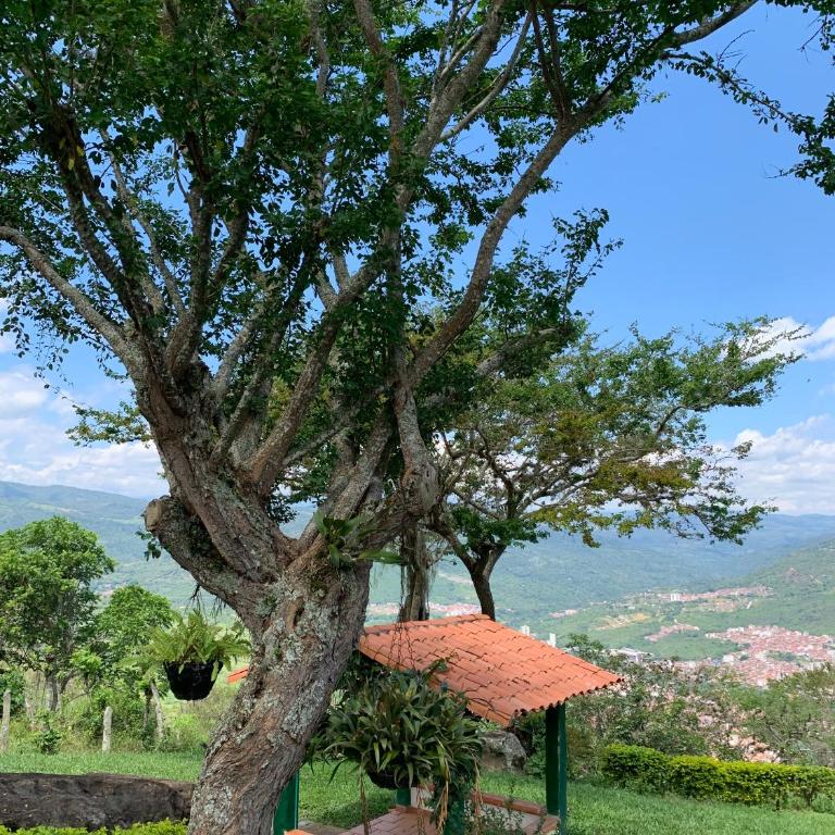 Villa tolu - Casa de 3 dormitorios - 6