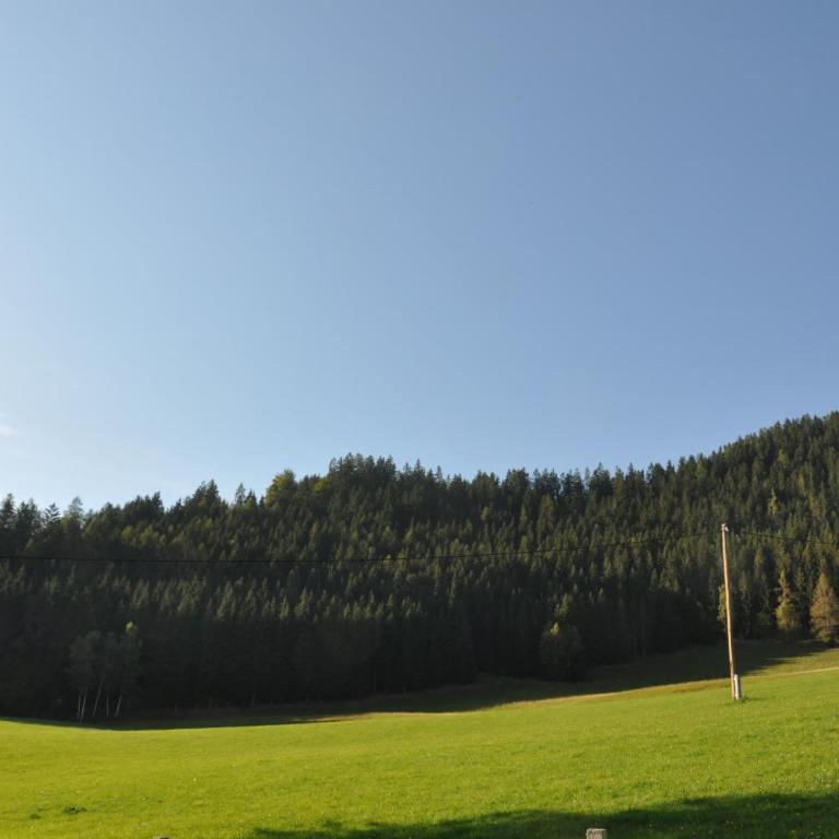 Villa Waldfriede - Haus mit 2 Schlafzimmern - 8