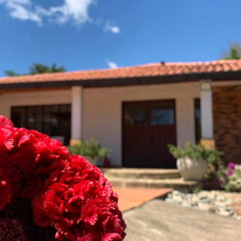 Villa tolu - Casa de 3 dormitorios - 24