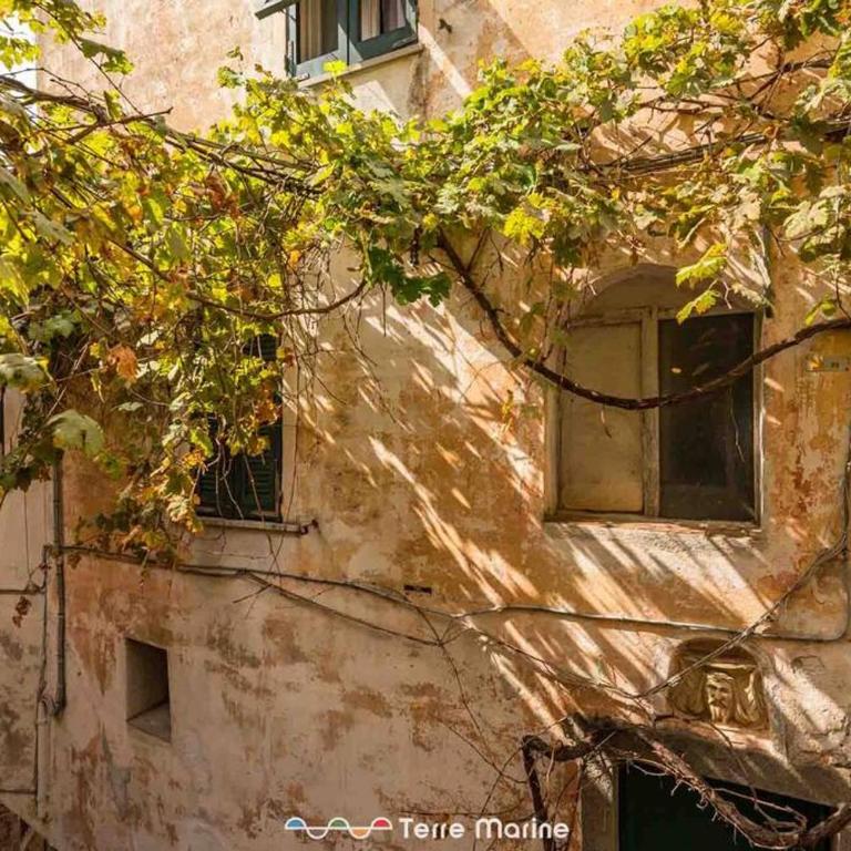 Il Profumo del Mosto, Terre Marine - One-Bedroom Apartment - 2