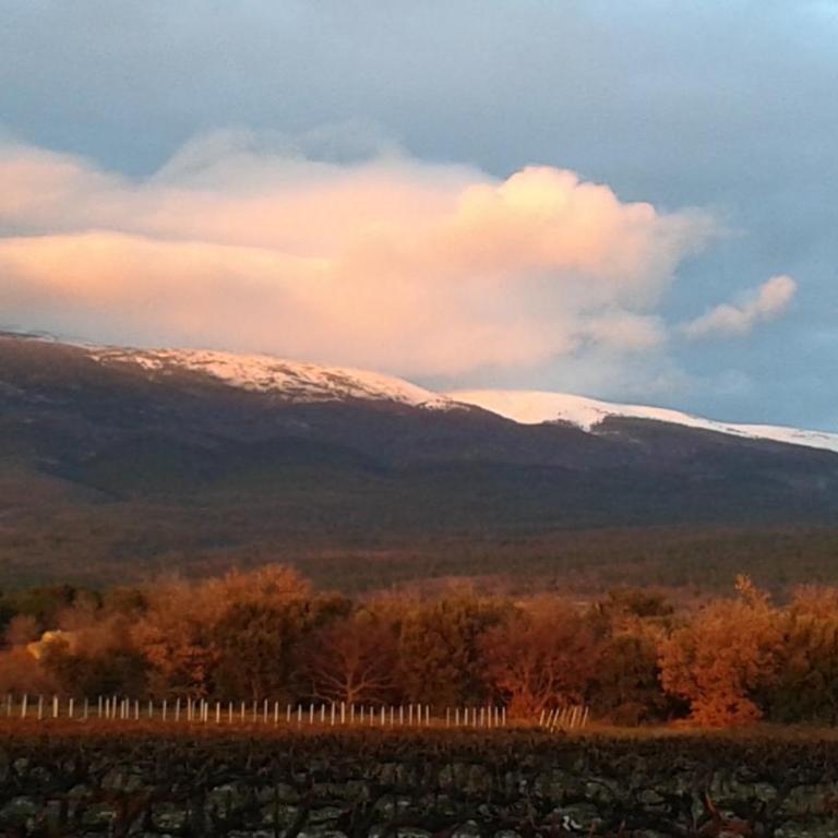La Carriera, petite maison Provençale sud Ventoux, climatisée - Maison 2 Chambres - 27
