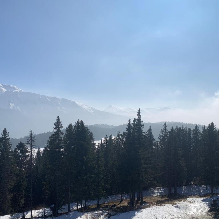 Les Domaines de LArselle à Chamrousse 1700 -Silènes A32 avec accès piscine - Classé 3 étoiles - Appartamento con 3 Camere da Letto - 7