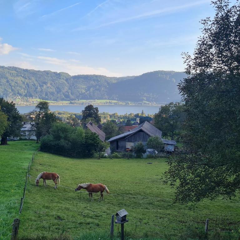 Aparts Lakeview -Gerlitzen -Ossiacher See -Ski - Apartment mit Seeblick - 37