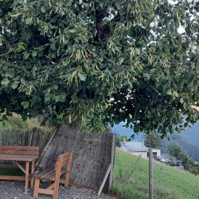 Appartement CHENILLE charmant 2 pièces plein pied avec jardin et vue magnifique - Apartment mit Blick auf die Berge - 7