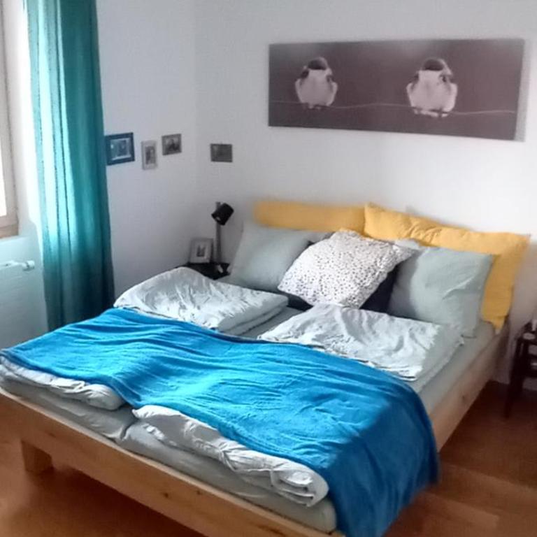 Appartement CHENILLE charmant 2 pièces plein pied avec jardin et vue magnifique - Apartment mit Blick auf die Berge - 8
