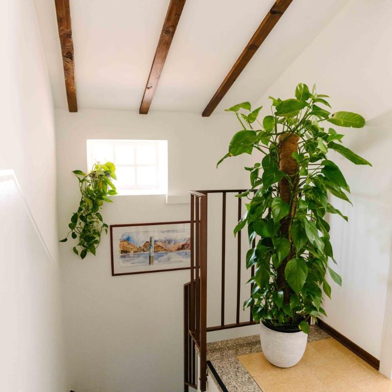 Spina Verde Home - Two-Bedroom Apartment with Private Pool - 19
