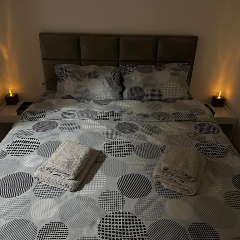 Wolf Street Apartment - Apartman sa 1 Spavaćom Sobom - 48