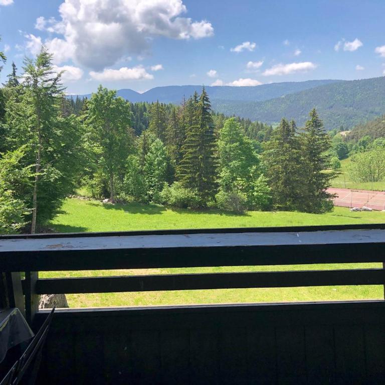 Studio cabine lumineux avec balcon à Villard-de-Lans - Studio - 2