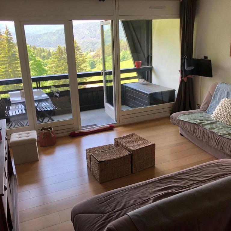 Studio cabine lumineux avec balcon à Villard-de-Lans - Studio - 1