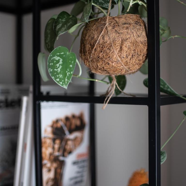 Sapio - Appartement 1 Chambre - 30