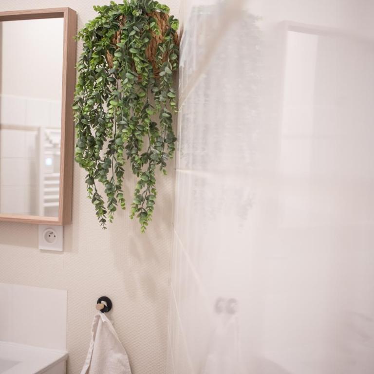 Sapio - Appartement 1 Chambre - 28