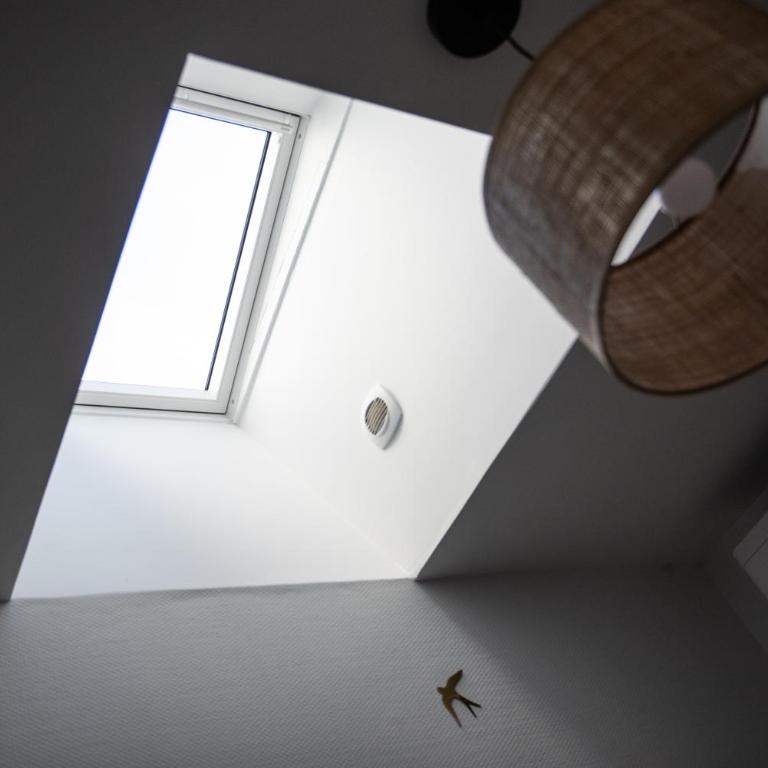 Sapio - Appartement 1 Chambre - 13
