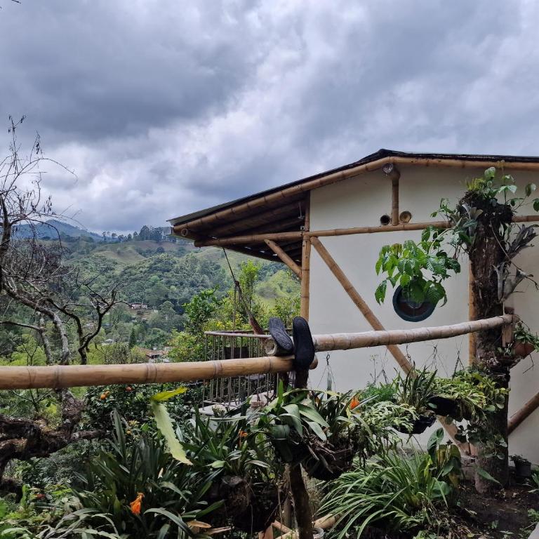 Limon - Habitación Doble con terraza - 21