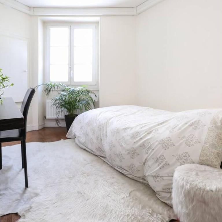 Central and Parisian style - 3 bedrooms - Appartement 3 Chambres - 21