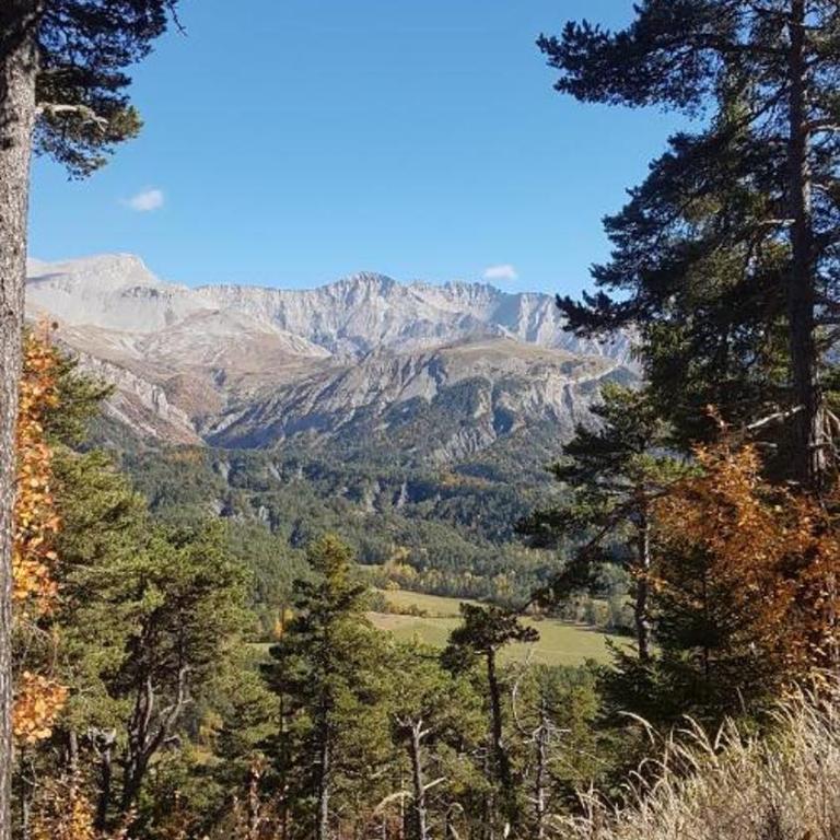 Appartement T3 63m2 - L'Atypique et son Jardin de 350m2 au cœur de Digne - Appartement - Vue sur Jardin - 35