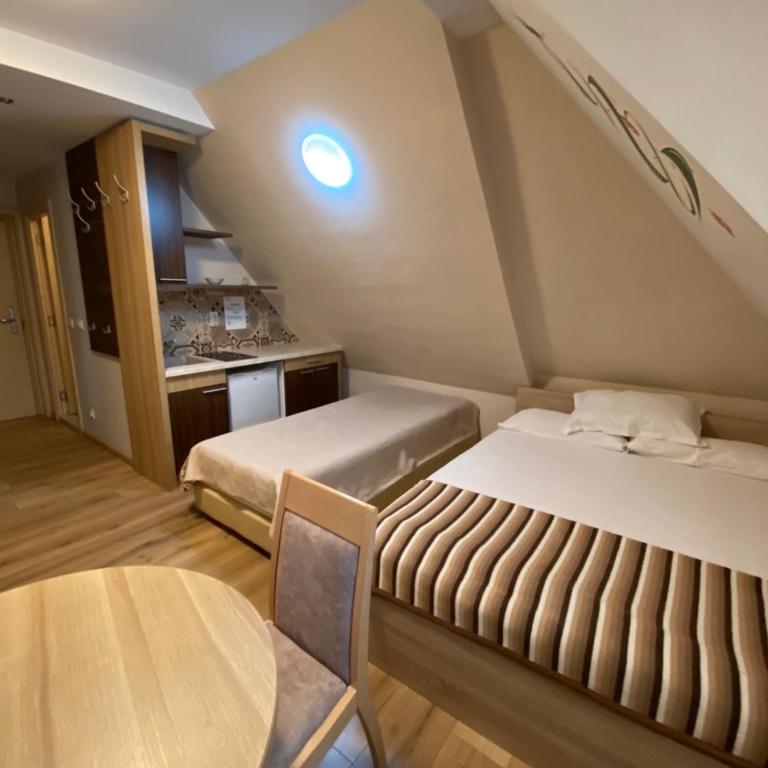 Apartmani Haski Konaci - King Studio with Sofa Bed - 5