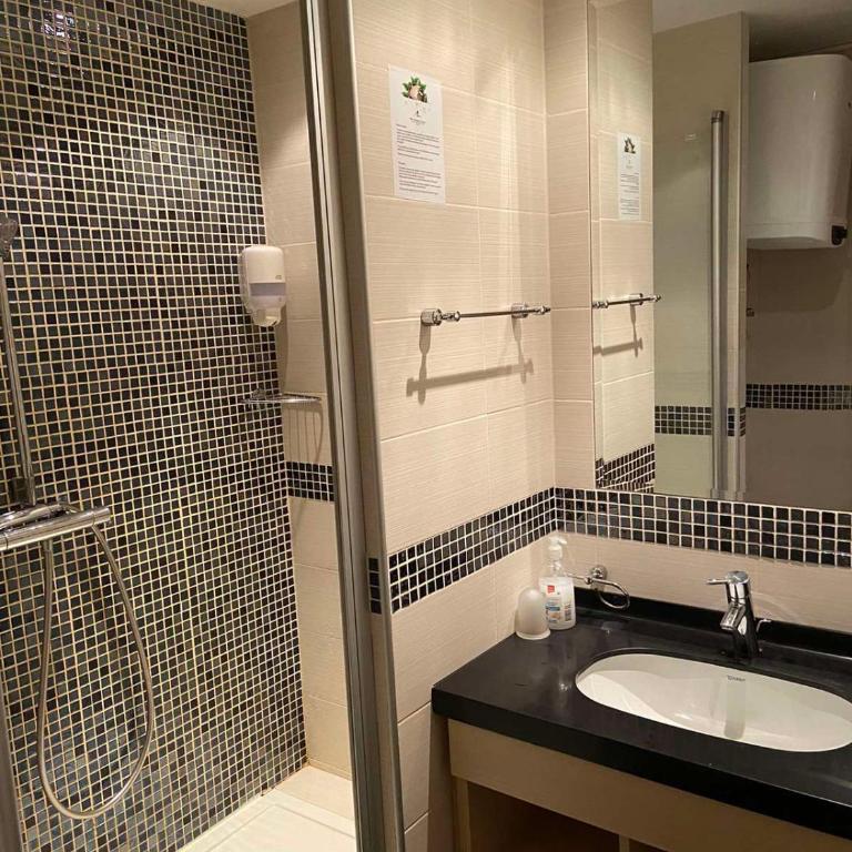 Apartmani Haski Konaci - King Studio with Sofa Bed - 6
