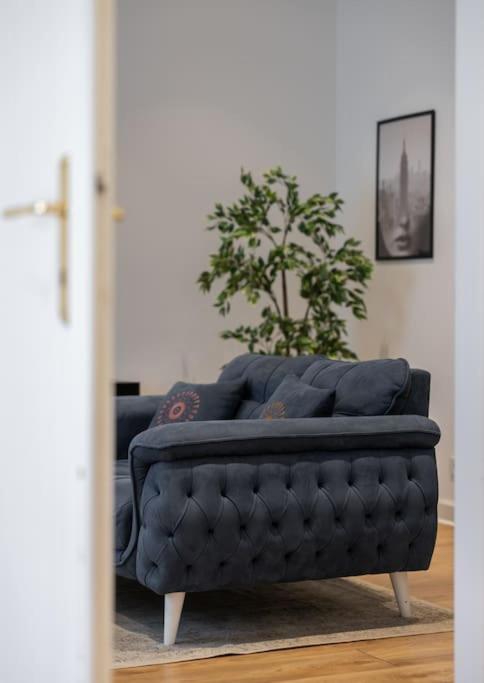 Beautiful salon apartment 140sqm - Apartman sa 3 Spavaće Sobe - 7