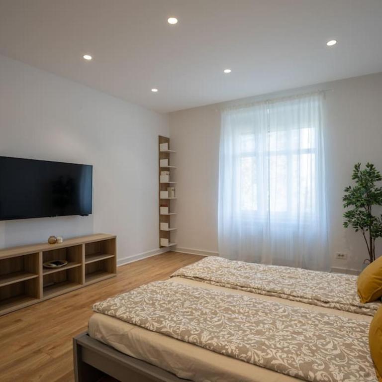 Beautiful salon apartment 140sqm - Apartman sa 3 Spavaće Sobe - 26