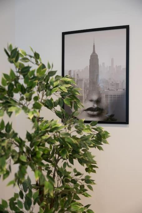 Beautiful salon apartment 140sqm - Apartman sa 3 Spavaće Sobe - 39