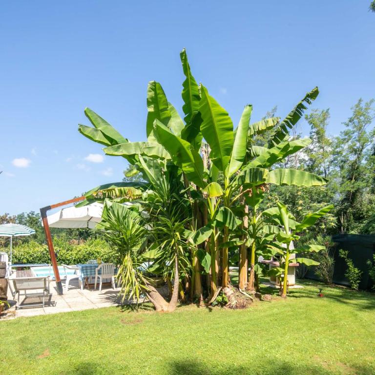 Villino le Farfalle by VacaVilla - Villa mit privatem Pool - 11