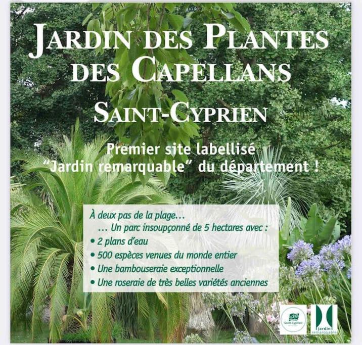 Golf Saint Cyprien ground floor 2 bedrooms Apartment with terrace - Apartamento de 2 dormitorios - 43