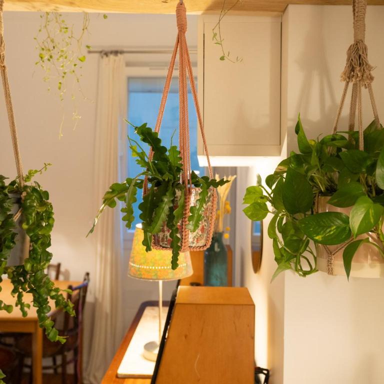 3 p 47m2 au pied de Montmartre - Appartement 2 Chambres - 3