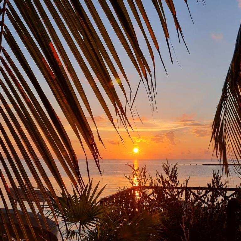 On The Beach 2 - Seaside Sunrise Haven- Sea View - One-Bedroom Apartment - 27