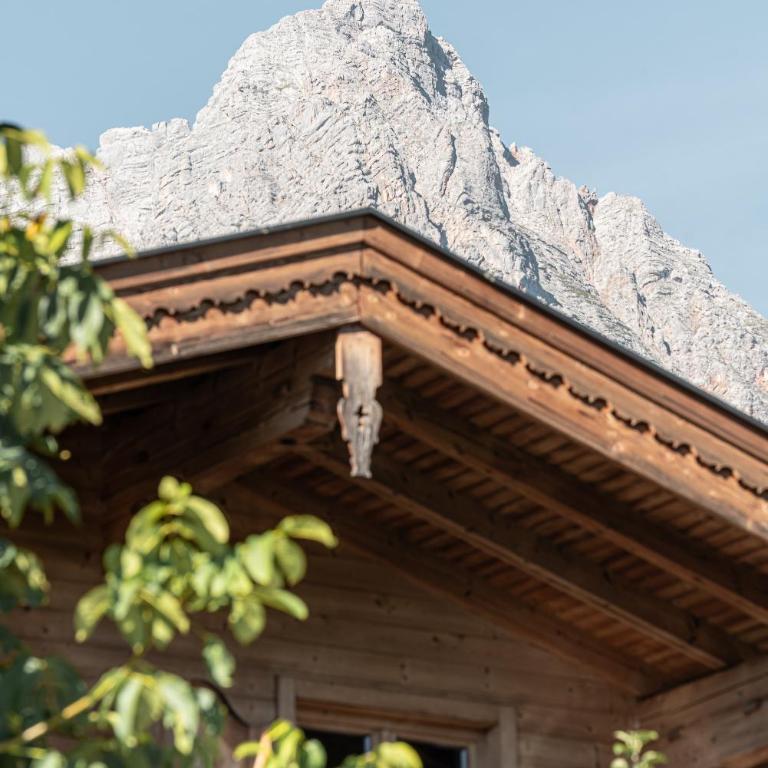Bewegte Berge Apartments - Appartement 1 Chambre - 20