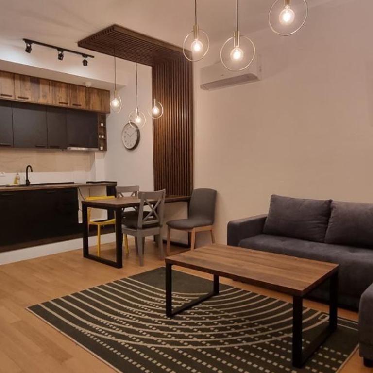 New luxury suite near St Sava Temple with garage - Apartman sa 1 Spavaćom Sobom - 19