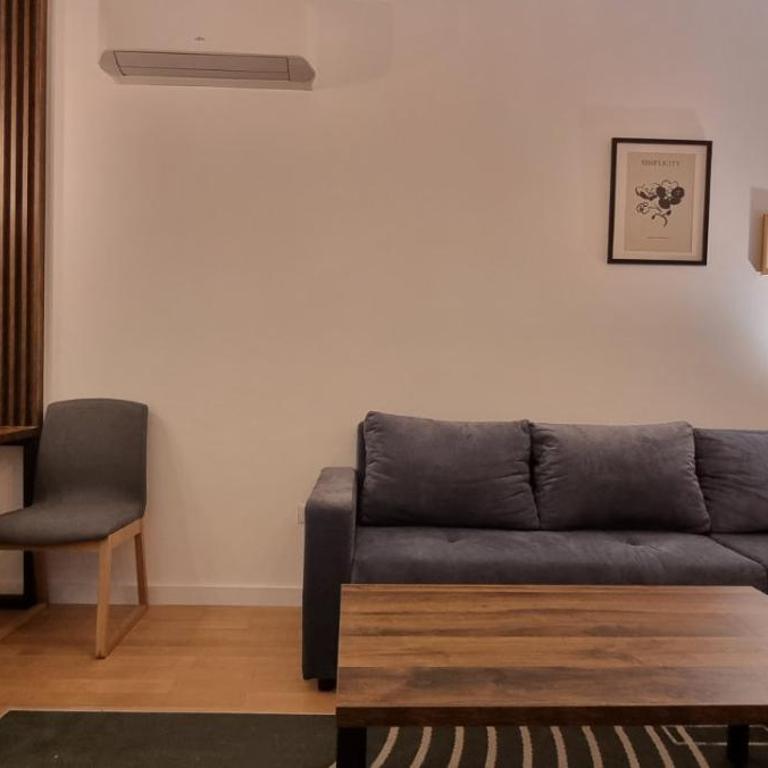 New luxury suite near St Sava Temple with garage - Apartman sa 1 Spavaćom Sobom - 20