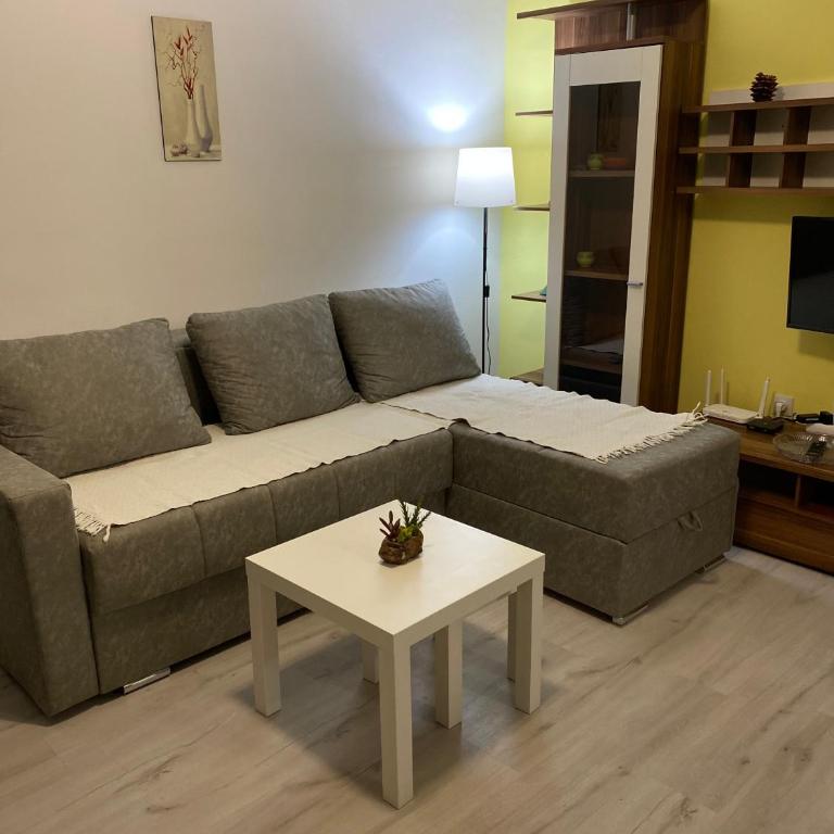 Pap Center Loft, garazno mesto - Apartman sa 1 Spavaćom Sobom - 2