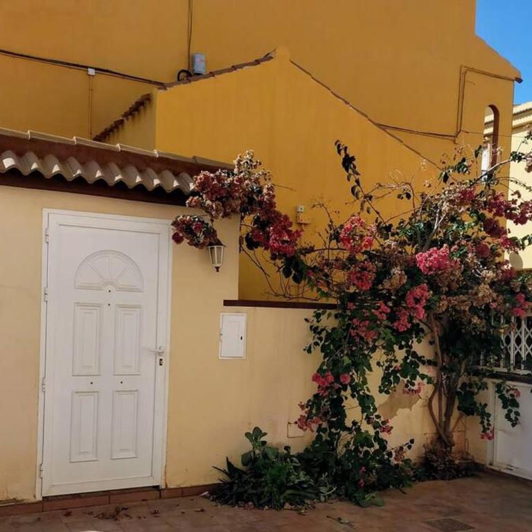 Mar Azul Primera línea de mar, casa privada con patio y solarium "La Bugamvulla" - Casa de 2 dormitorios - 16