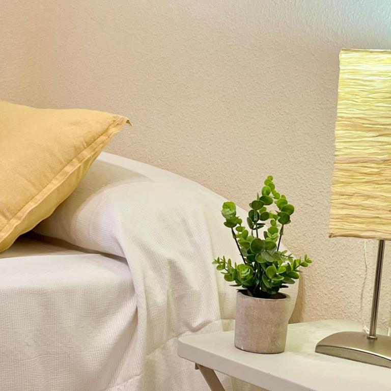 Wallada Vistalegre - Apartamento con 4 dormitorios - 32