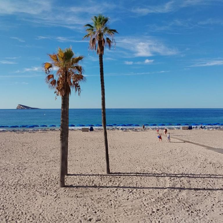Pintor Sorolla Beach by Agencia Poniente - Apartment with Sea View - 26