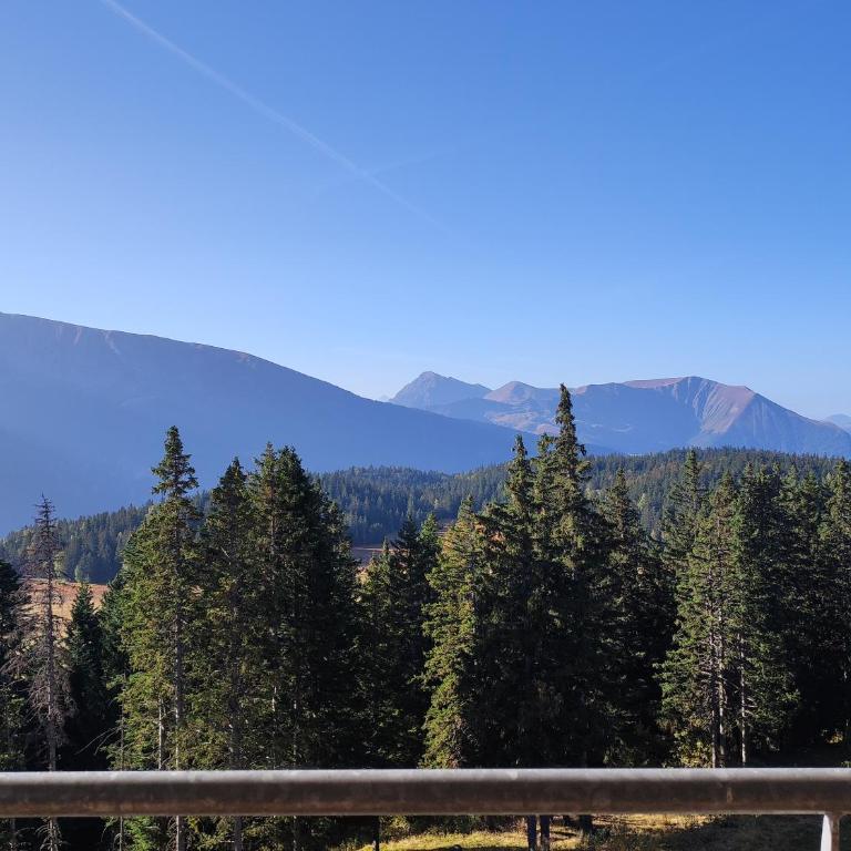 Les Domaines de LArselle à Chamrousse 1700 -Silènes A32 avec accès piscine - Classé 3 étoiles - Appartamento con 3 Camere da Letto - 17