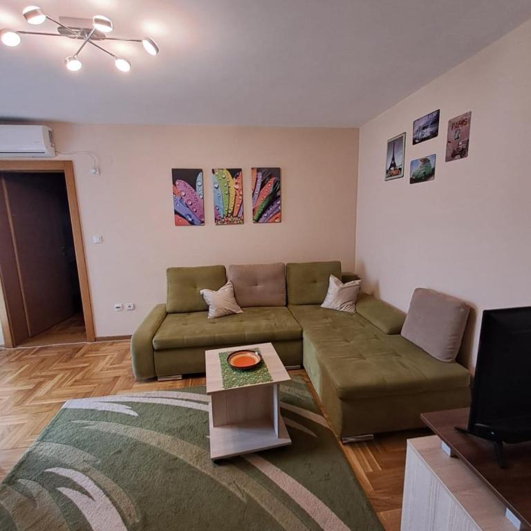 MAŠA Apartman Vrnjacka Banja - Apartman sa 1 Spavaćom Sobom - 8