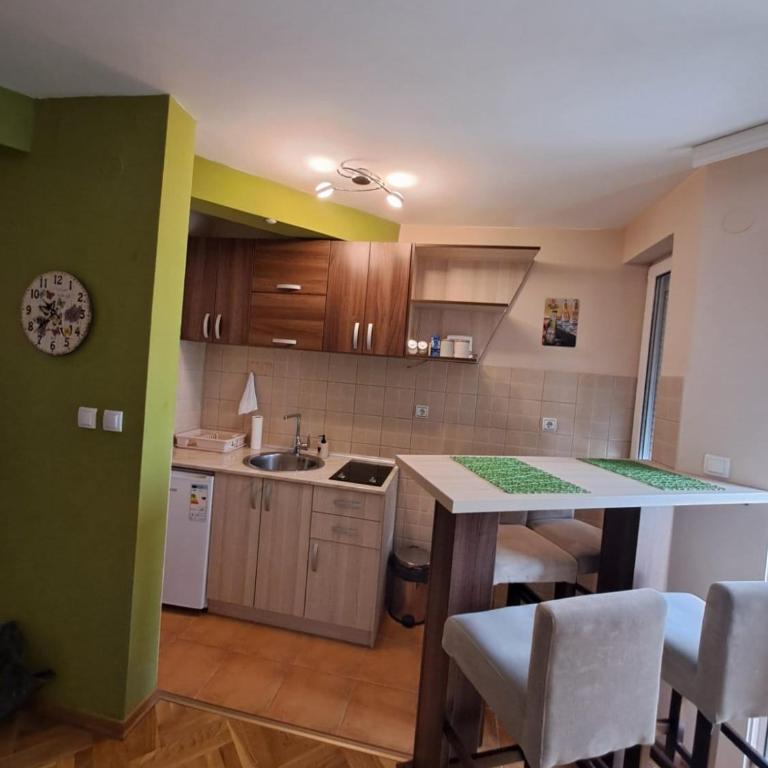 MAŠA Apartman Vrnjacka Banja - Apartman sa 1 Spavaćom Sobom - 13
