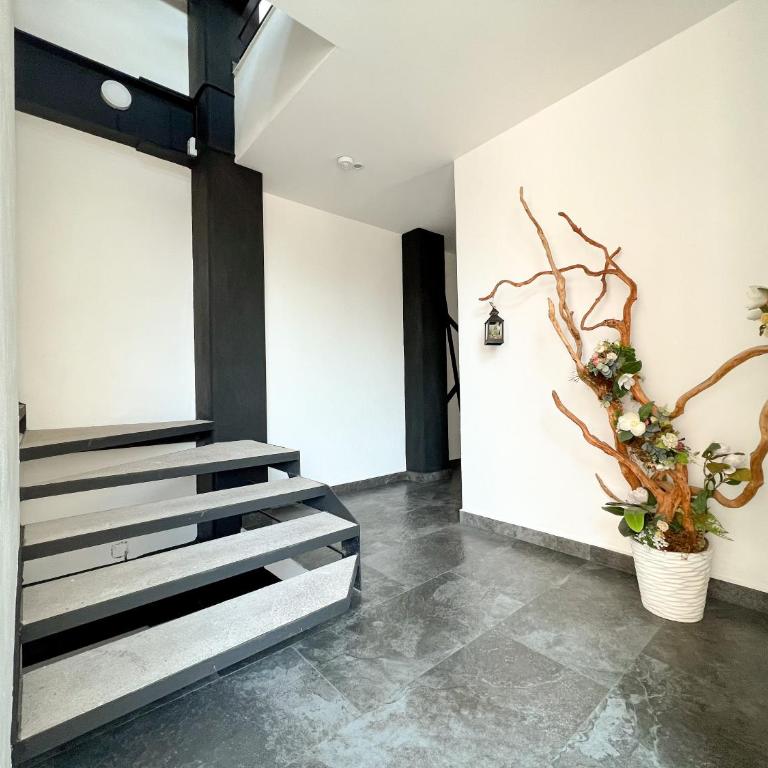 Departamento en CDMX, zona norte - Apartment mit 3 Schlafzimmern - 20