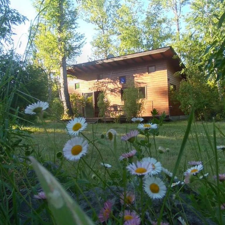 Cabañas Pucon Location - Chalet de 2 dormitorios - 17