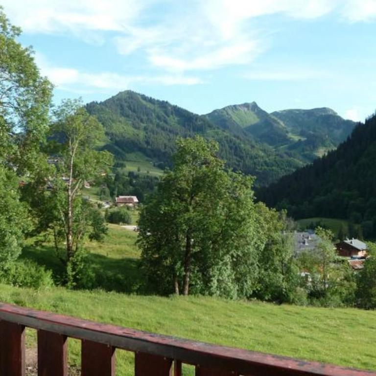 Charmant T3 à Châtel avec balcon, proche centre et remontées mécaniques, 6 personnes - FR-1-676-10 - Appartement - 9