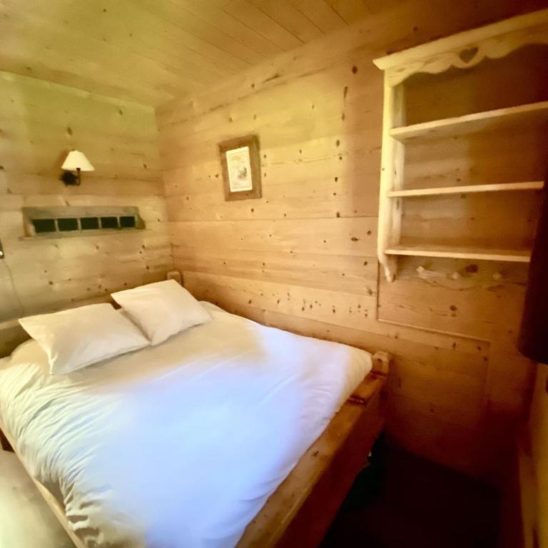 Chalet 4 pièces, 8 pers., Wifi, Parking, Châtel - FR-1-676-43 - Apartment - 6