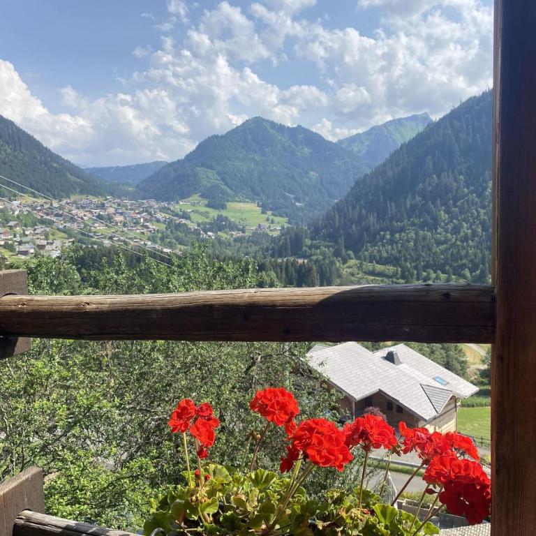 Chalet 4 pièces, 8 pers., Wifi, Parking, Châtel - FR-1-676-43 - Apartment - 20